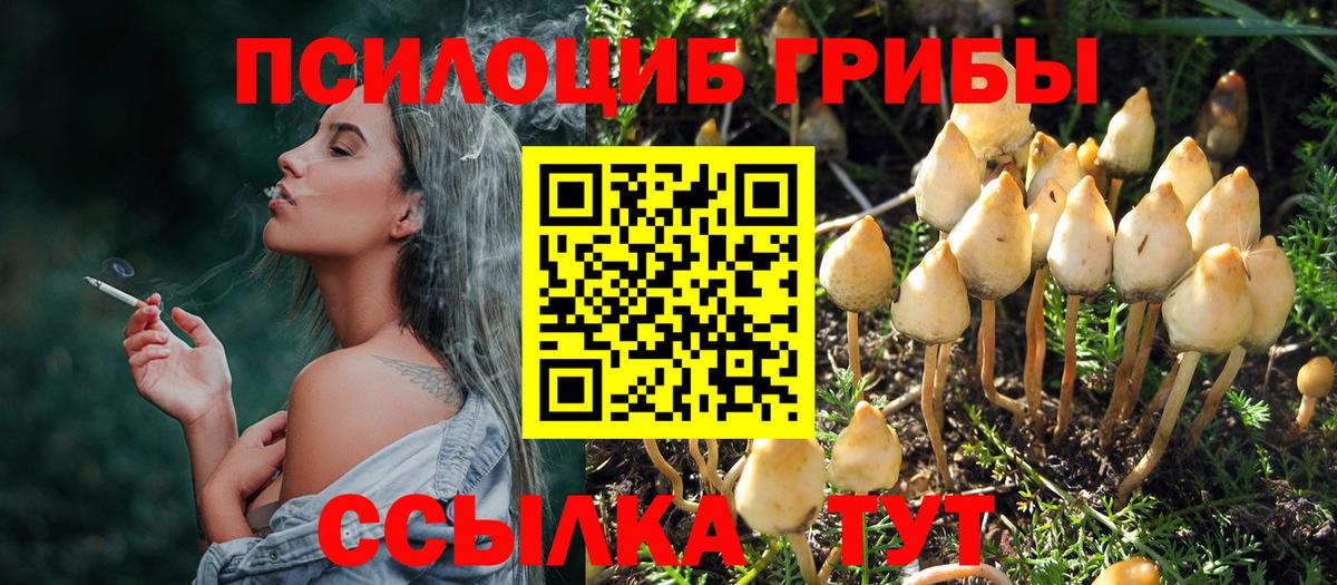Псилоцибиновые грибы мухоморы  Вход с VPN  Галлюциногенные грибы мицелий  Гусь-Хрустальный 