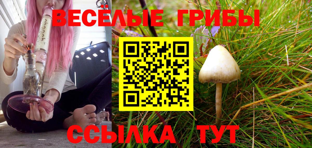 Псилоцибиновые грибы Cubensis Гусь-Хрустальный